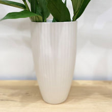 Load image into Gallery viewer, Flax Amity Vase h27cm - White
